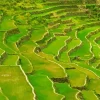 Batad Rice Terraces Diamond Painting