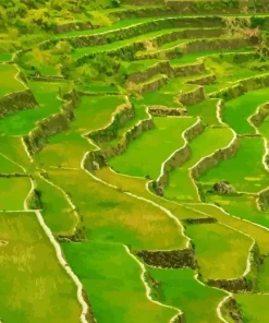 Batad Rice Terraces Diamond Painting