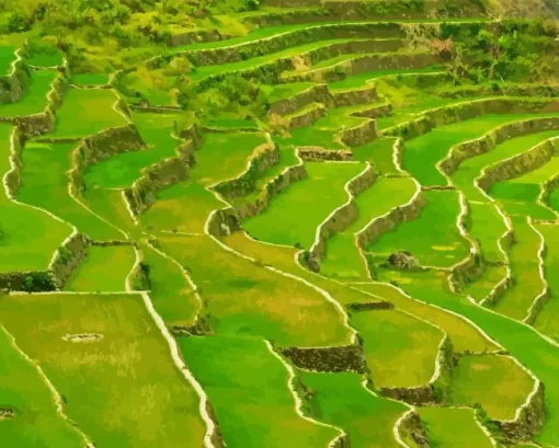 Batad Rice Terraces Diamond Painting