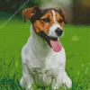 Parson Russell Terrier Diamond Painting