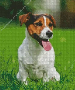 Parson Russell Terrier Diamond Painting