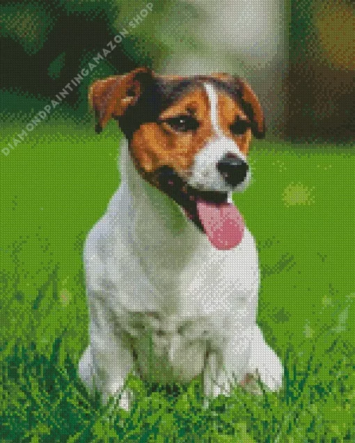 Parson Russell Terrier Diamond Painting