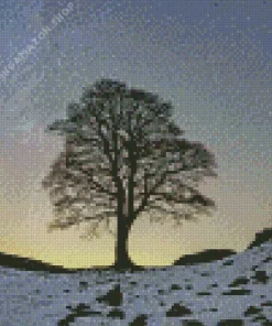 Sycamore Gap Tree Diamond Painting