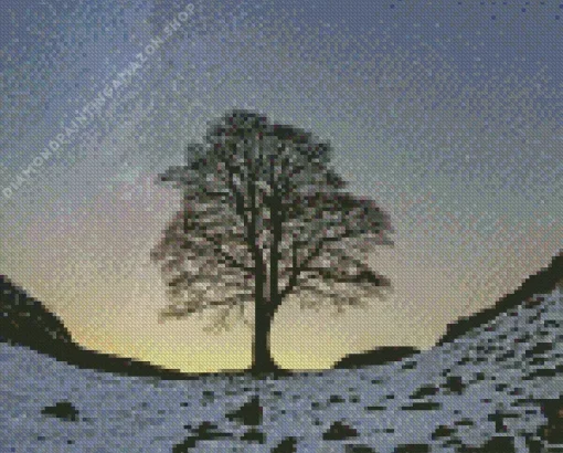 Sycamore Gap Tree Diamond Painting