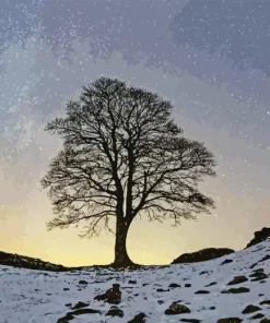 Sycamore Gap Tree Diamond Painting