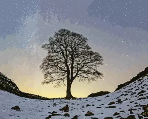 Sycamore Gap Tree Diamond Painting