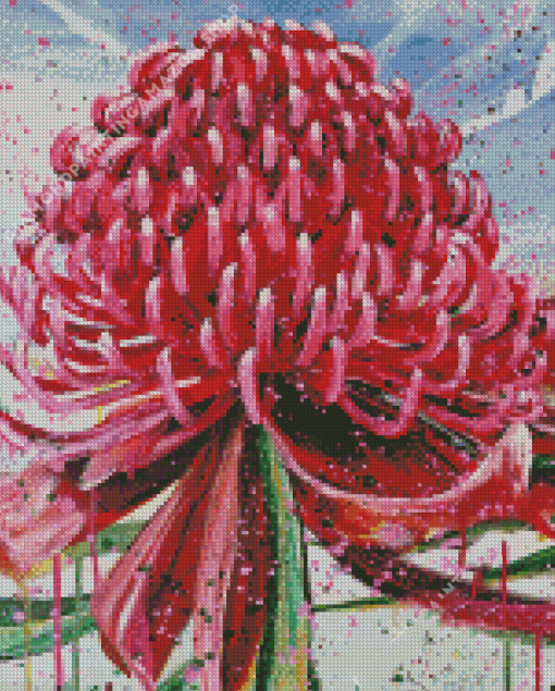 Waratah Telopea Diamond Painting