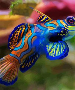 Beautiful Mandarin Fish Diamond Painting