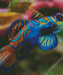 Beautiful Mandarin Fish Diamond Painting