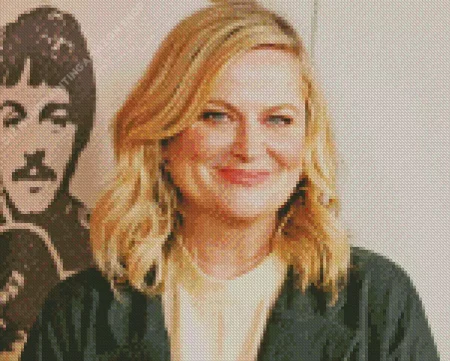 Amy Poehler Diamond Painting
