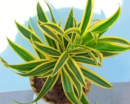 Dracaena Diamond Painting