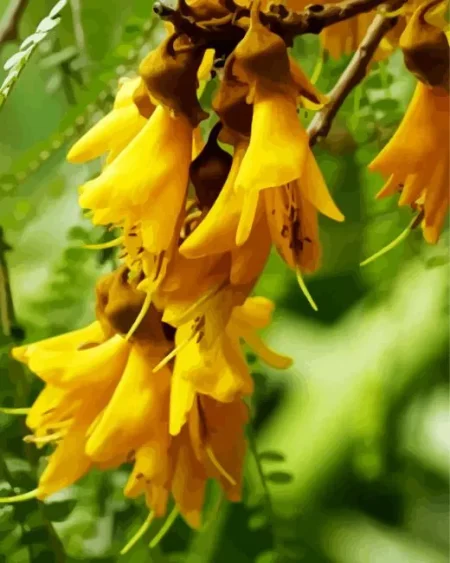 Kowhai Diamond Painting