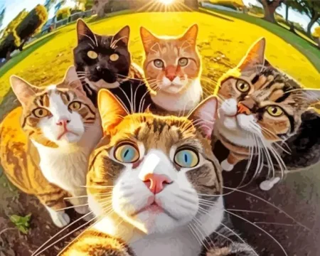 Group Cats Selfie Diamond Painting