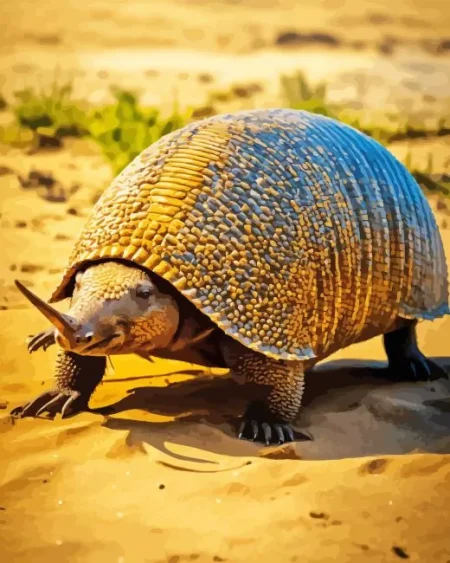 Armadillo Animal Diamond Painting
