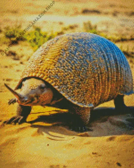 Armadillo Animal Diamond Painting