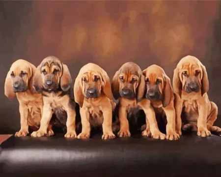Bloodhound Puppies Diamond Painting