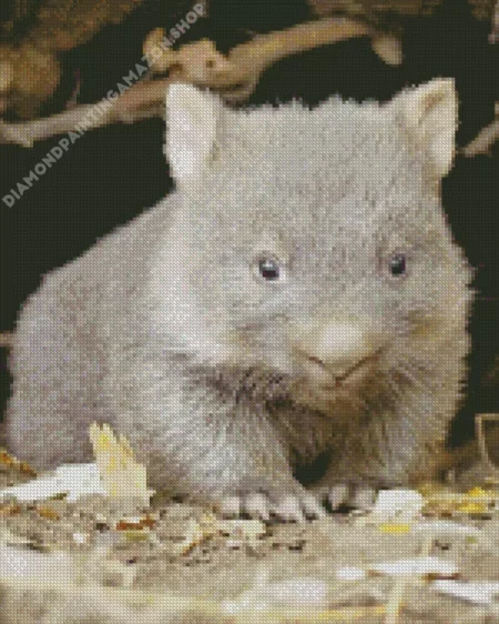 Baby Wombat Diamond Painting