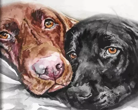 Chocolate Labradors Diamond Painting