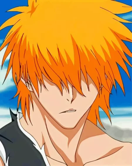 Bleach Anime Ichigo Diamond Painting