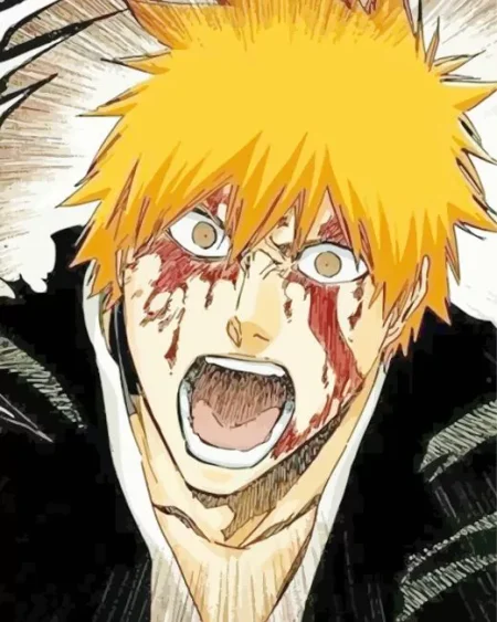 Ichigo Mad Diamond Painting