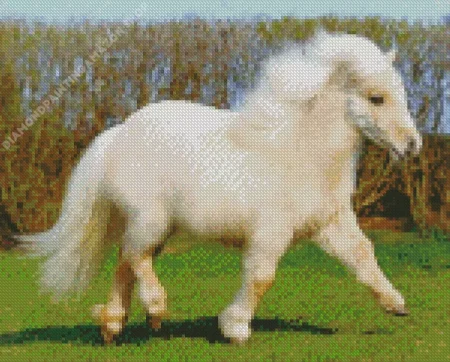 Blonde Pony Diamond Painting