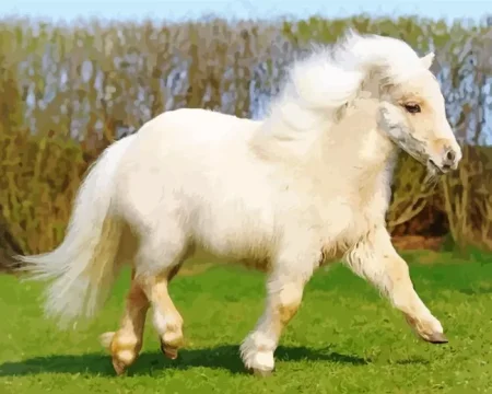 Blonde Pony Diamond Painting