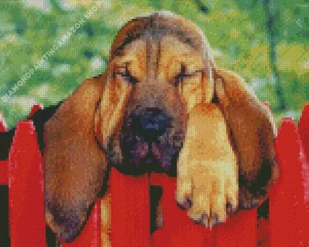 Bloodhound Puppy Diamond Painting