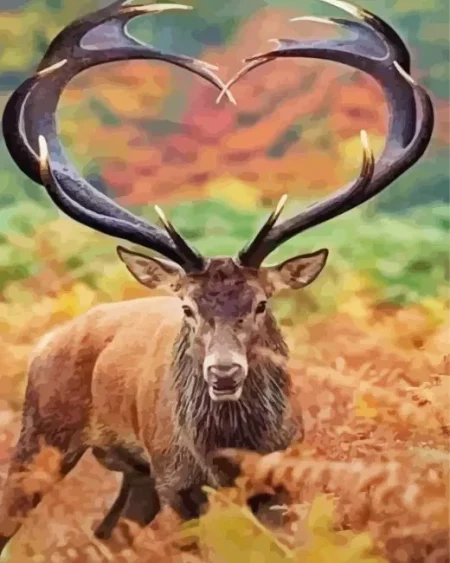 Barbary Stag Diamond Painting