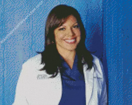 Callie Torres Diamond Painting