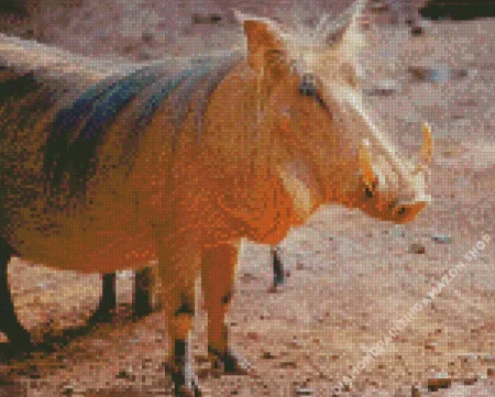 Common Warthog Diamond Painting