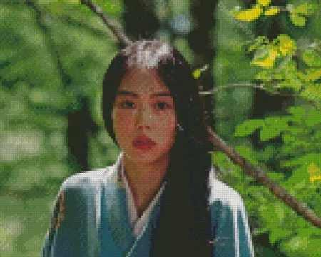 Actress Sook Hee Diamond Painting