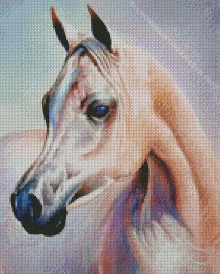 Arabian Horse Head Diamond Painting