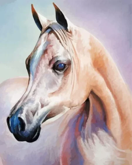 Arabian Horse Head Diamond Painting
