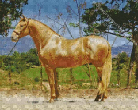 Blonde Stallion Horse Diamond Painting