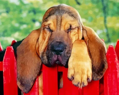 Cute Bloodhound Diamond Painting