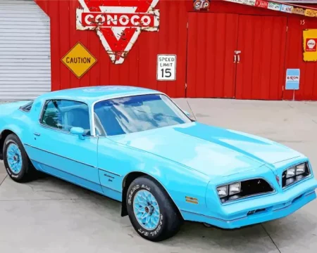 1977 Trans Am Diamond Painting