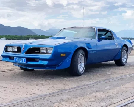 1978 Trans Am Diamond Painting