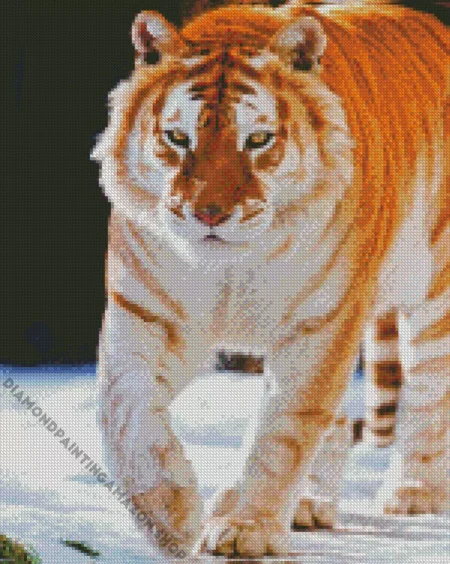 Golden Tiger Diamond Painting