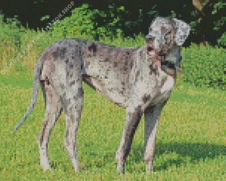 Great Danespeckled Diamond Painting