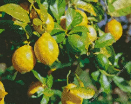 Lemon Plant Diamond Painting