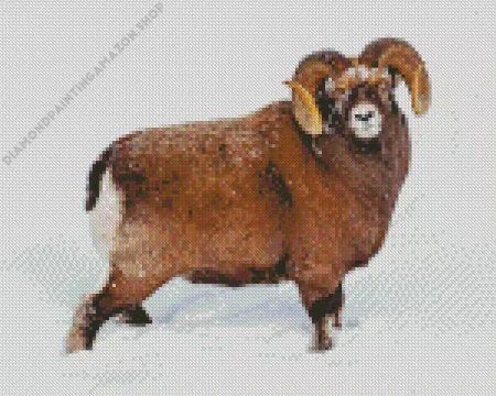 Sheep In Snow Diamond Painting